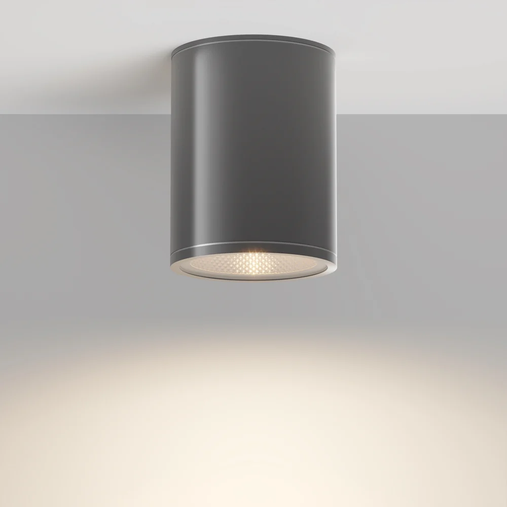 Bar Outdoor Ceiling Spotlight- Graphite Finish - Image 4