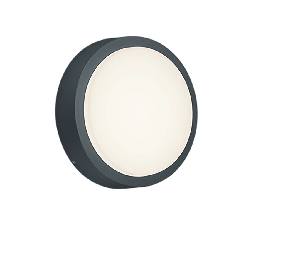 Breg Anthracite IP54 Outdoor LED Wall Light