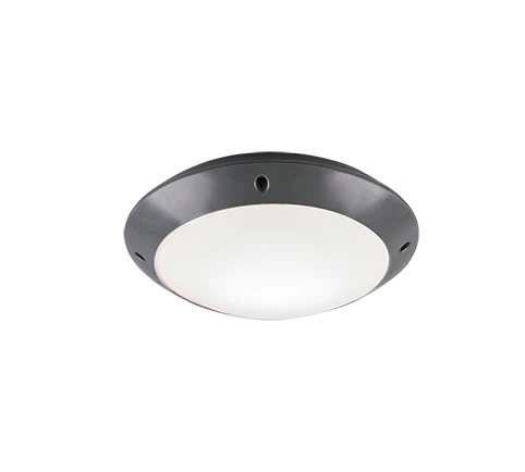 Camaro Outdoor Ceiling Light- Black/ White Finish
