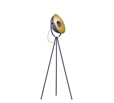 Chewy Modern Floor Lamp - Black & Gold