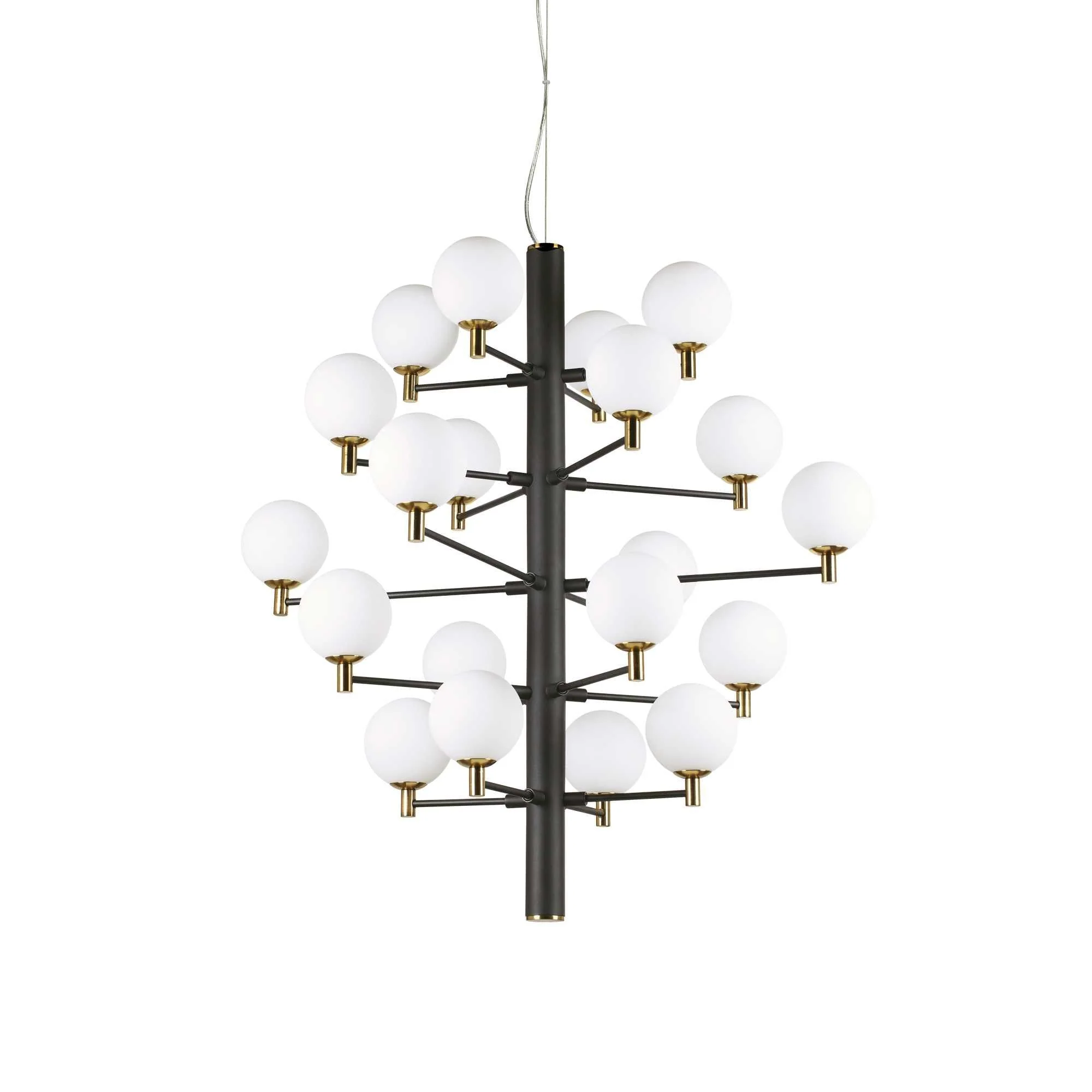 Copernico 20Lt Cluster Light, Black