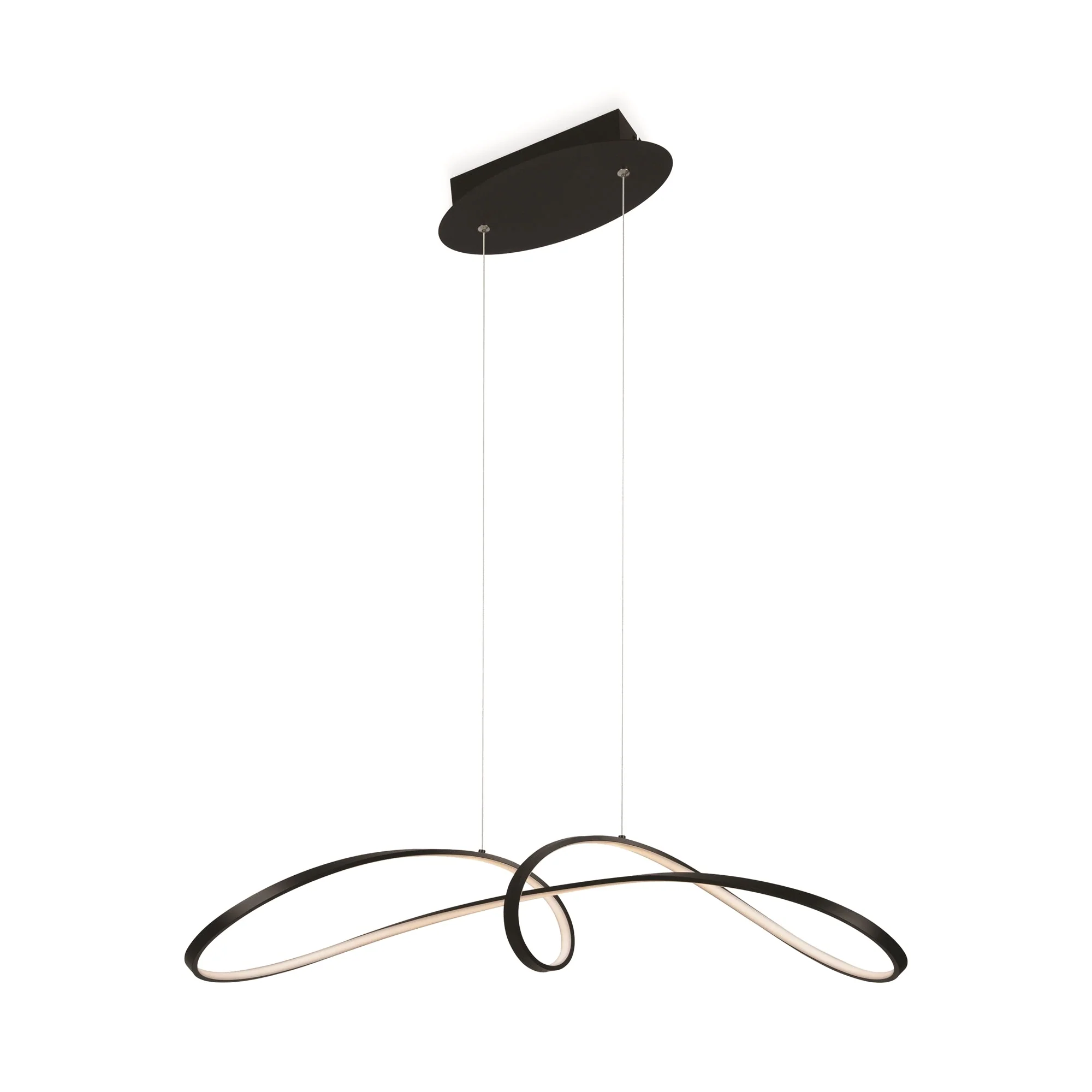 Curve LED Hanging Ceiling Light
