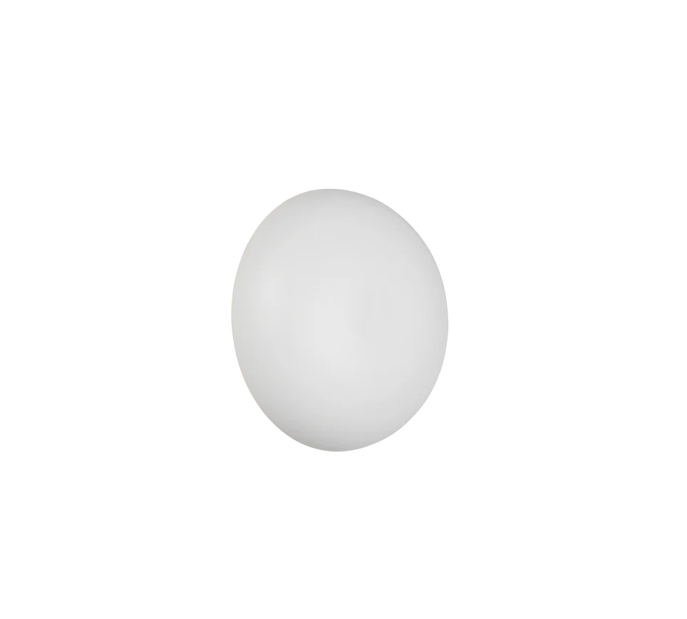Davey Wall Light- Various Colors
