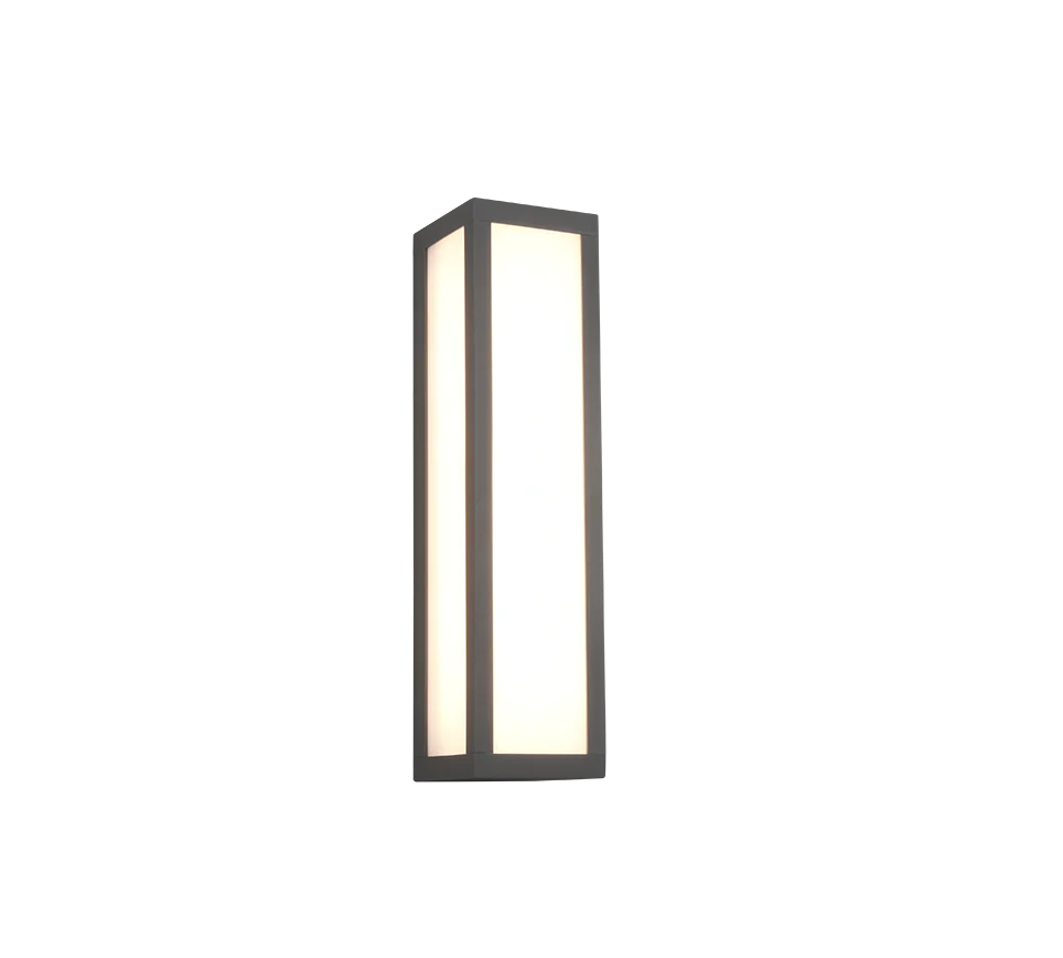 Fuerte Anthracite IP54 Outdoor LED Wall Light