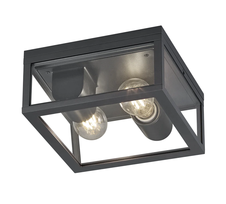 Garonne Outdoor Ceiling Light