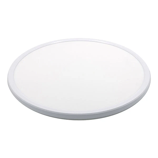 Halo Ceiling Light