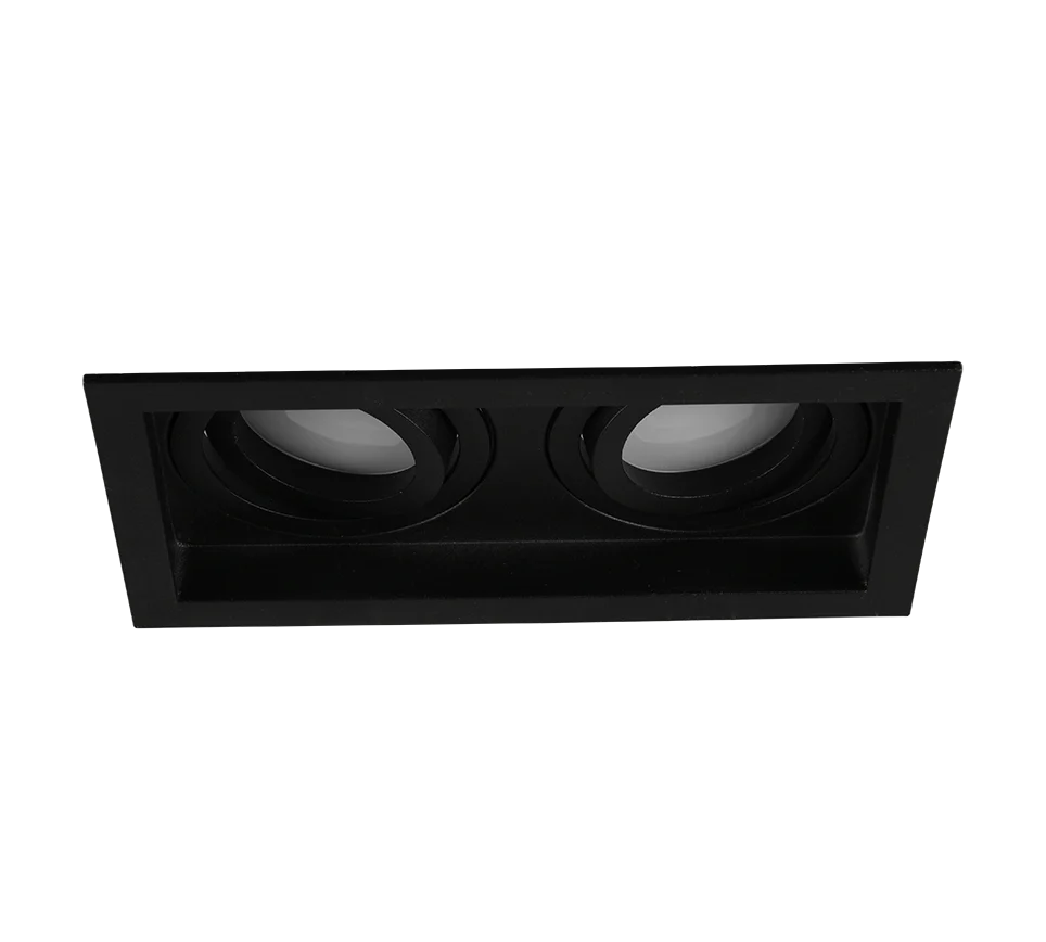 Kenai 2Lt Recessed Ceiling Light- Black/ White Finish