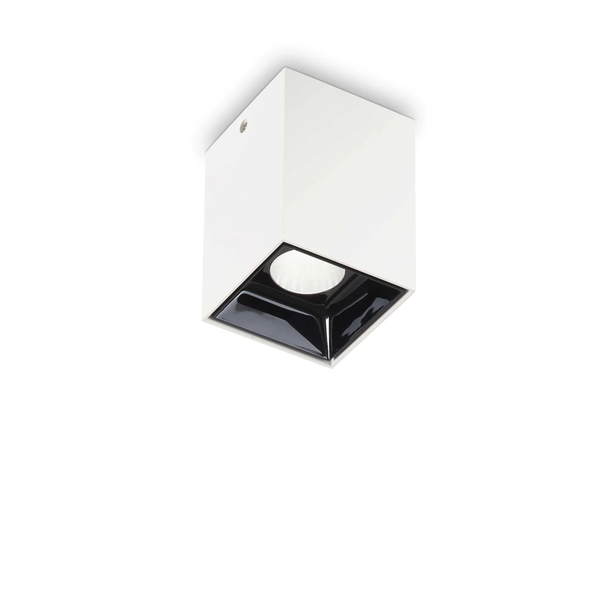 Nitro 1Lt Small/Large Round Spotlight IP20 - Black/White