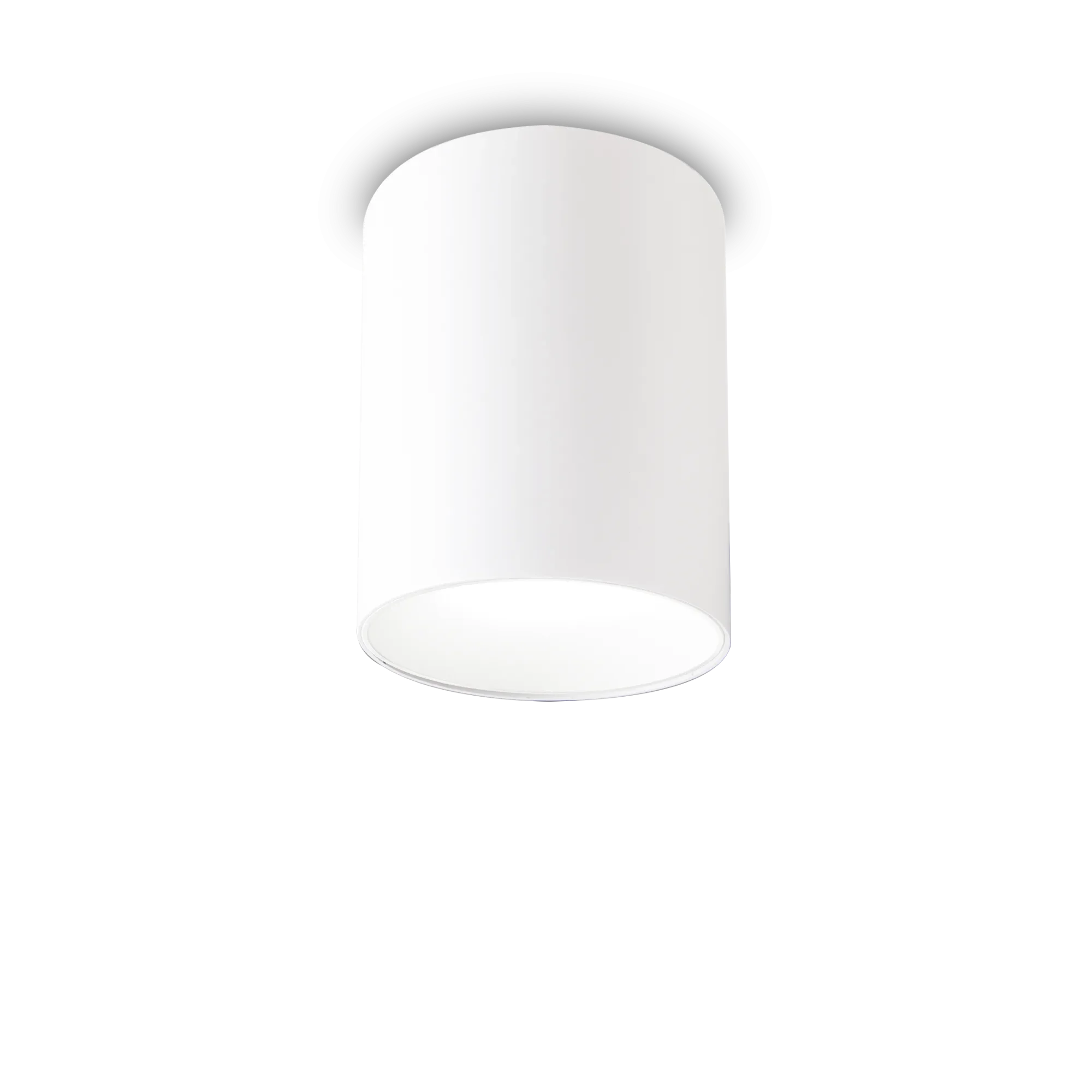 Nitro 1Lt Small/Large Round Spotlight IP20 - Black/White - Image 10