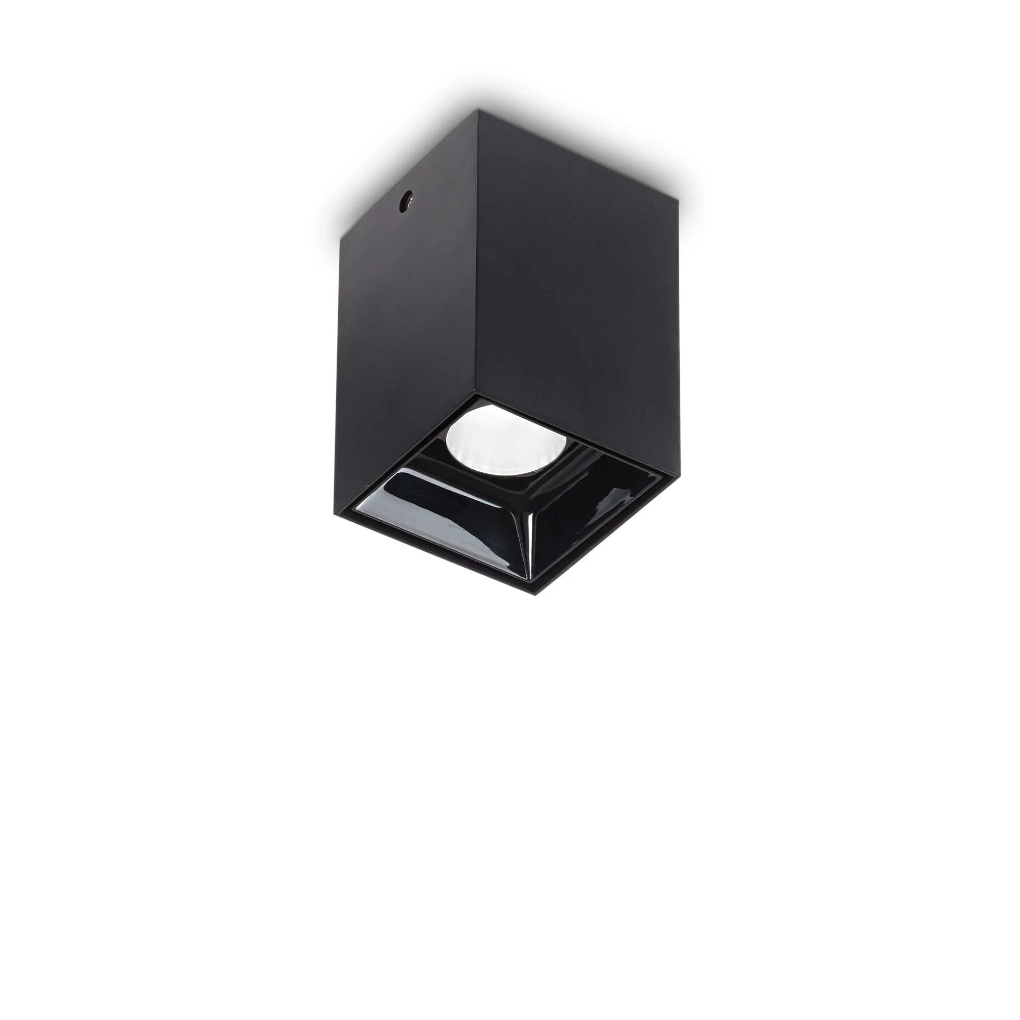Nitro 1Lt Small/Large Round Spotlight IP20 - Black/White - Image 2