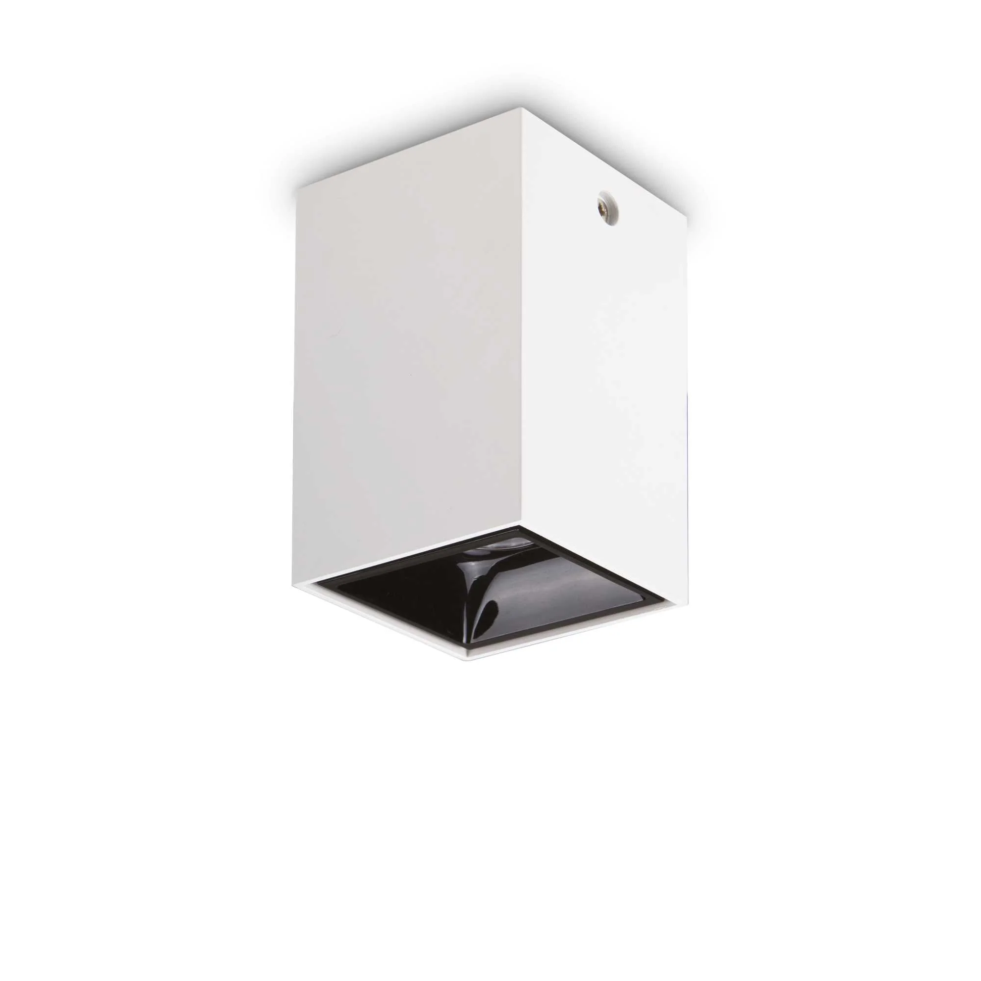 Nitro 1Lt Small/Large Round Spotlight IP20 - Black/White - Image 4