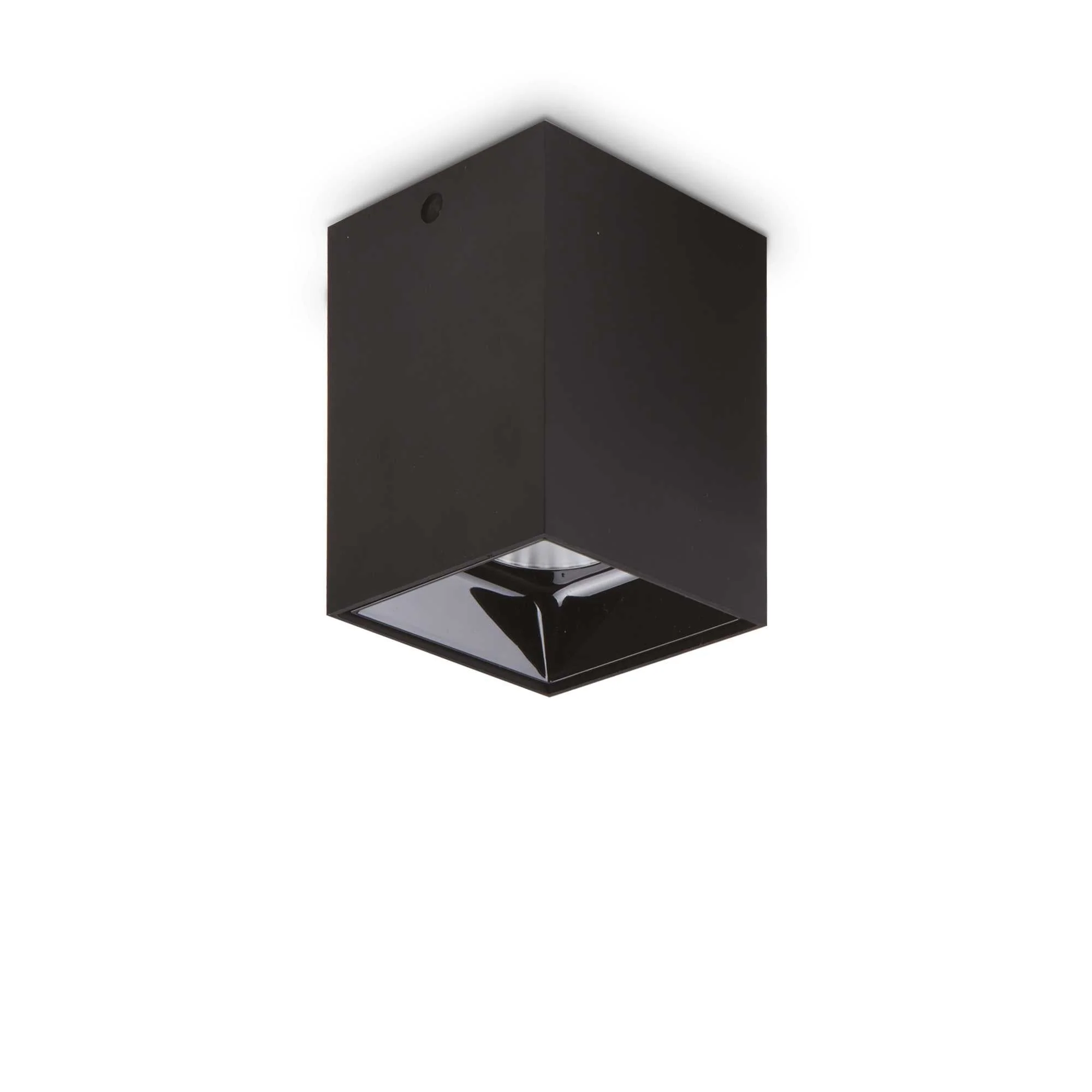 Nitro 1Lt Small/Large Round Spotlight IP20 - Black/White - Image 5