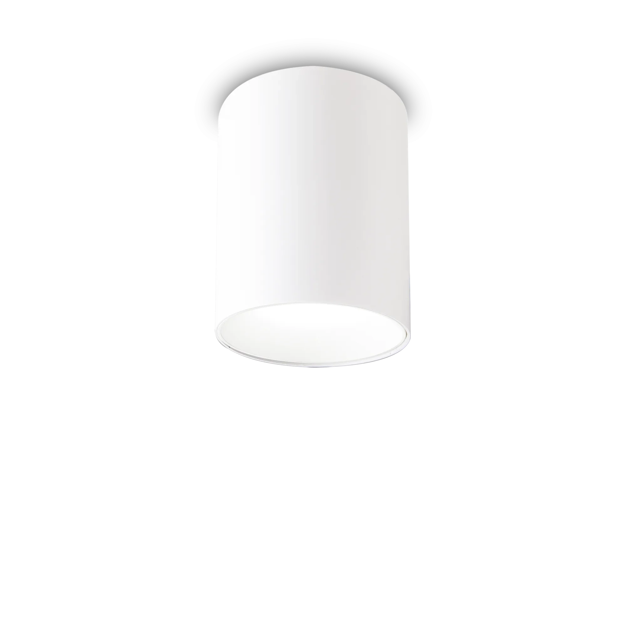 Nitro 1Lt Small/Large Round Spotlight IP20 - Black/White - Image 8
