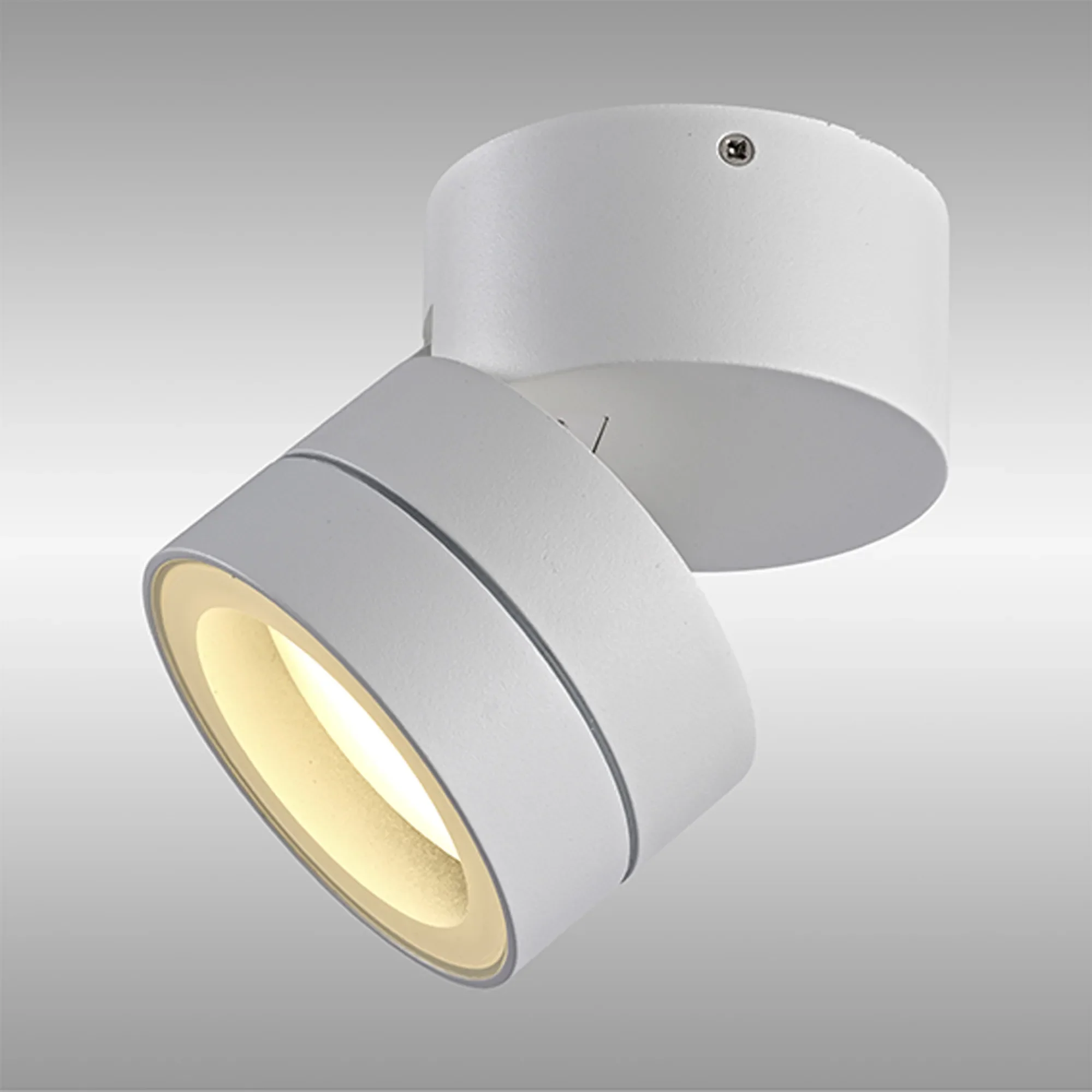 Saler Adjustable Outdoor Ceiling Spotlight/Wall Light- Various Finishes - Image 23