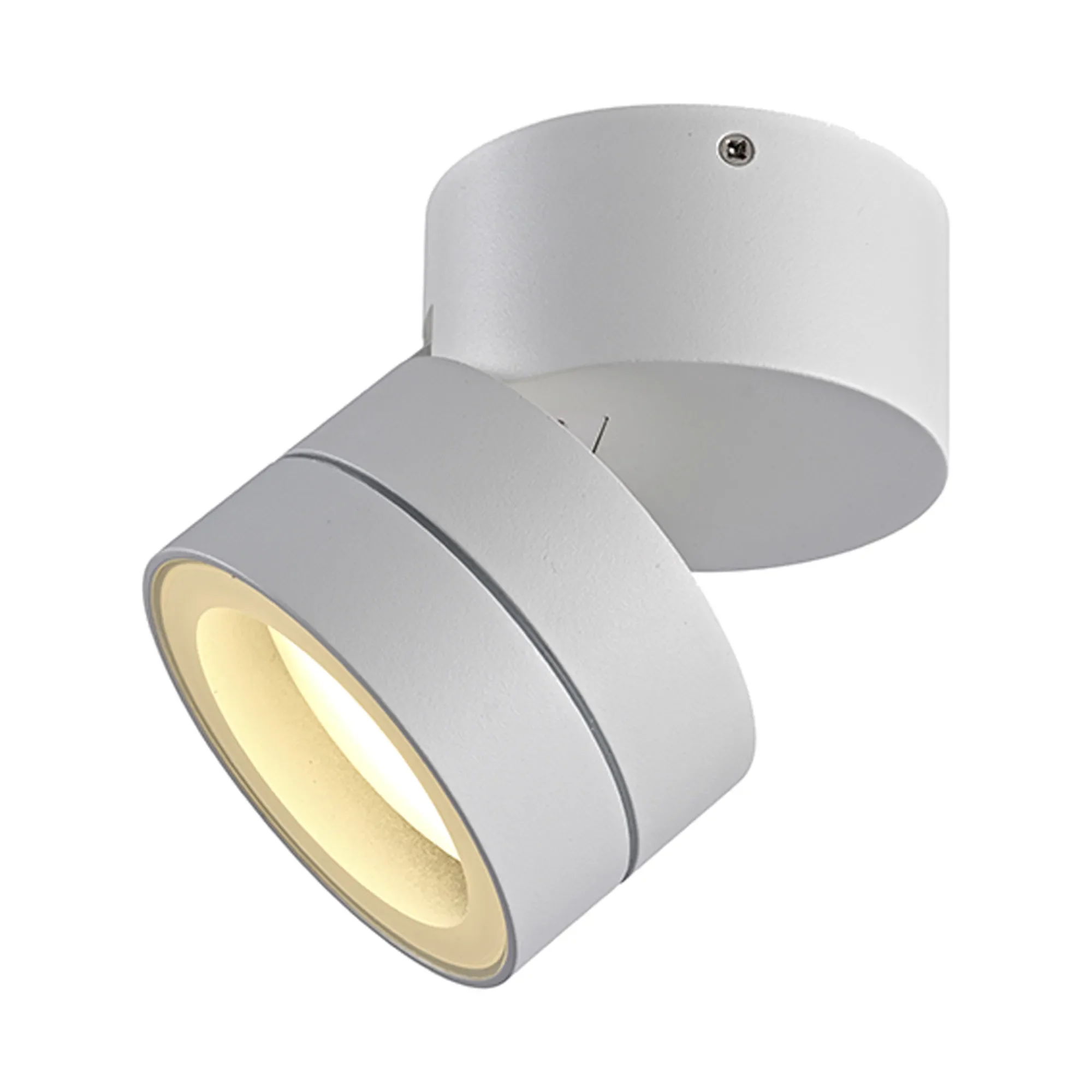 Saler Adjustable Outdoor Ceiling Spotlight/Wall Light- Various Finishes - Image 24