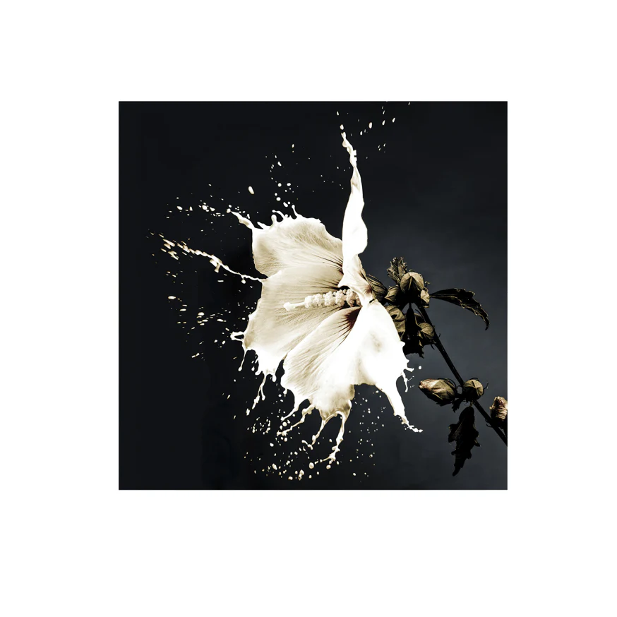 SPLASH Wall Art PHOTO 100x100 - Image 4