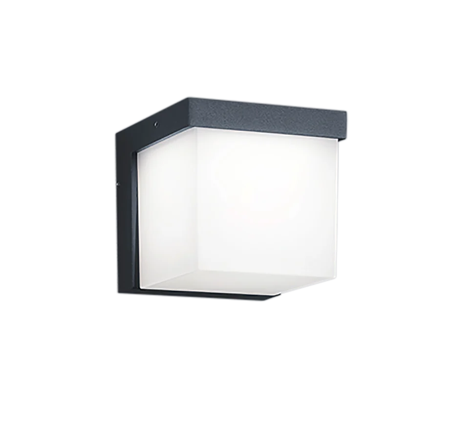 Yangtze Anthracite Outdoor LED Wall Light