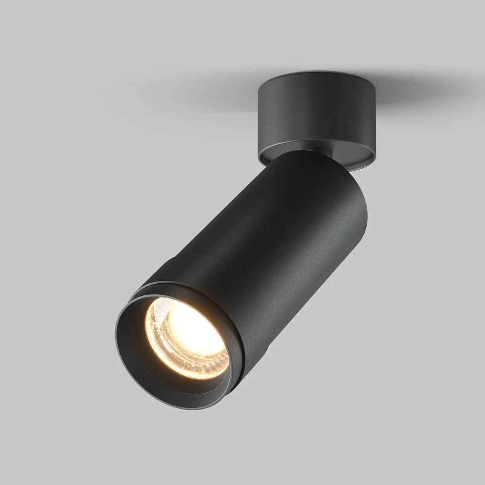 Zoom Focus Ceiling Light- Black & White Finishes